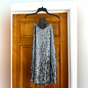 Express Silver Sequin Dress